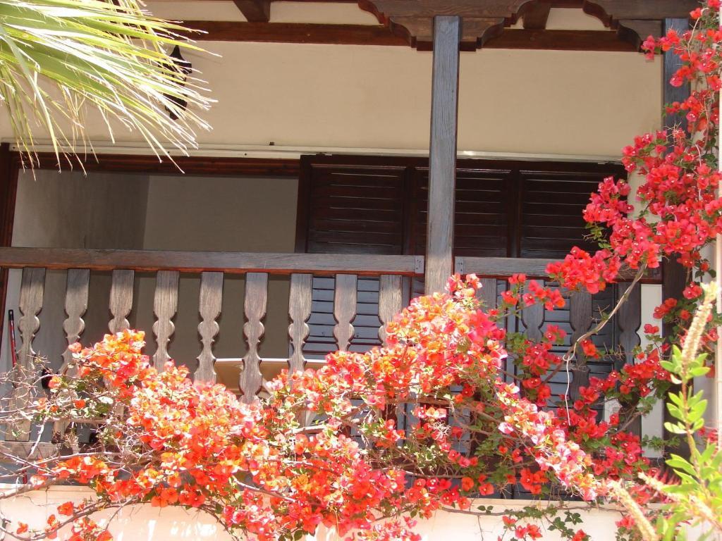Villa Frideriki Agia Paraskevi  Rum bild
