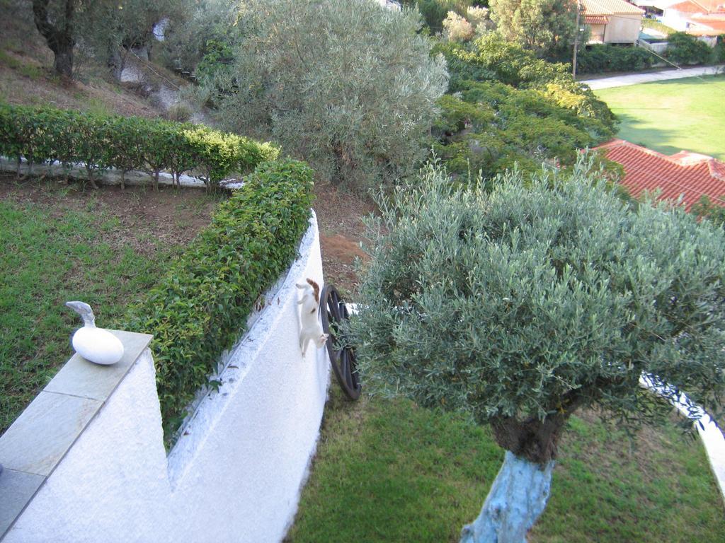 Villa Frideriki Agia Paraskevi  Rum bild