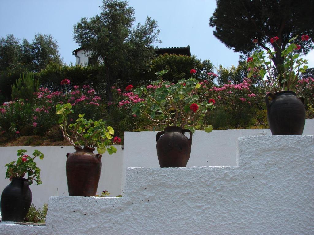Villa Frideriki Agia Paraskevi  Exteriör bild